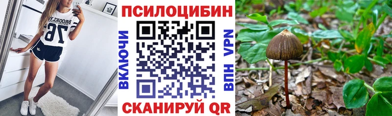 ссылка на мегу ССЫЛКА  Красногорск  Псилоцибиновые грибы MAGIC MUSHROOMS 